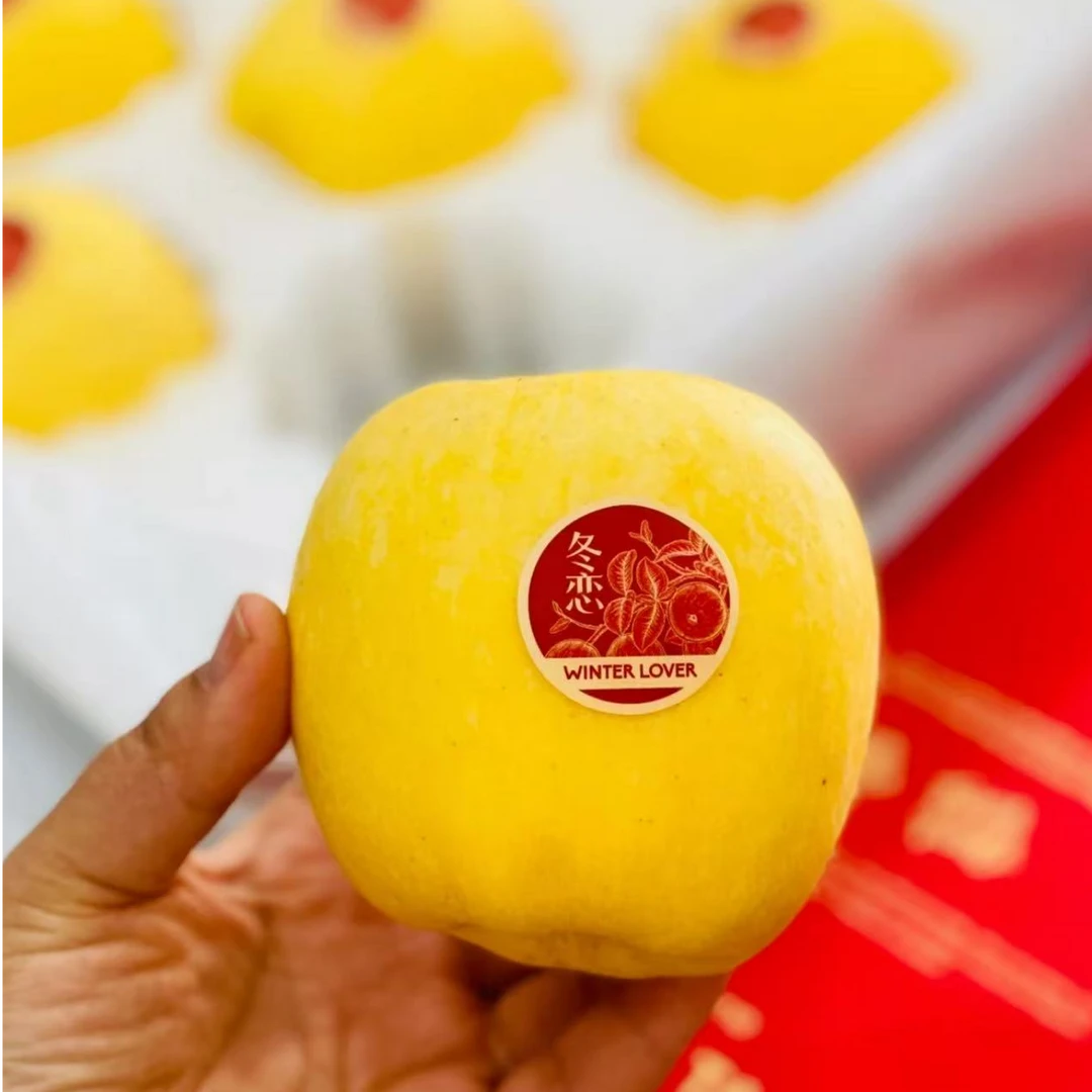 千雪冬恋苹果（整果约350g）新疆