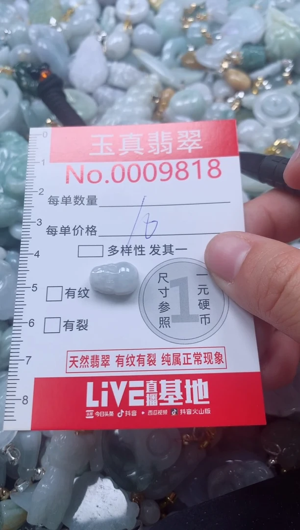 吊坠(不含链)未镶嵌翡翠9818