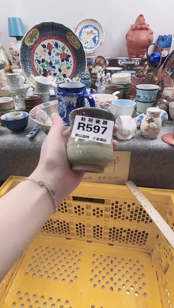 日式杭*默认微瑕秋羽R597