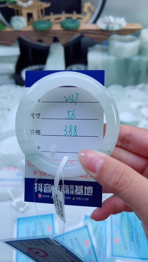 未镶嵌首饰石英质玉（天山翠）37