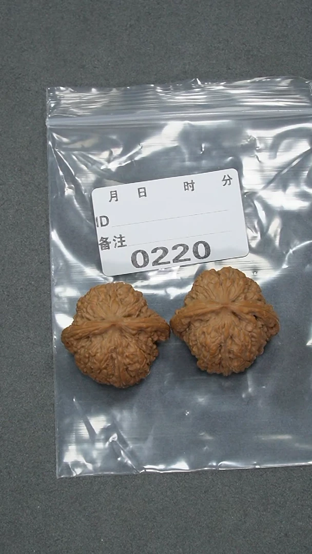 【闪购商品】文玩核桃把件36红宝石