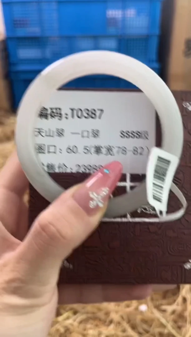 未镶嵌手镯石英质玉T0387