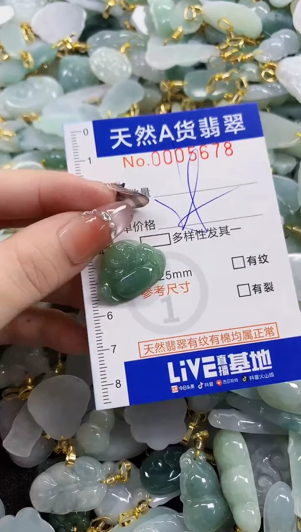 颈饰未镶嵌翡翠天然A货翡翠