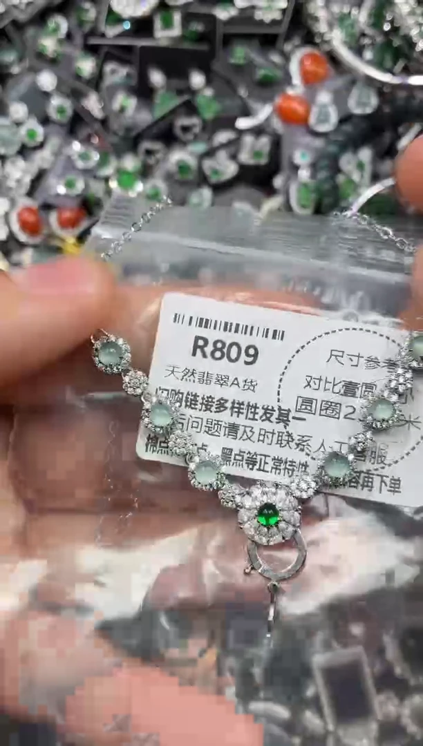 颈饰未镶嵌翡翠R809项链