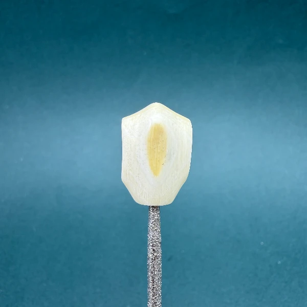 M1972天然猛犸牙5A鲨鱼背三通14.3*21.1 支持鉴定假一罚四