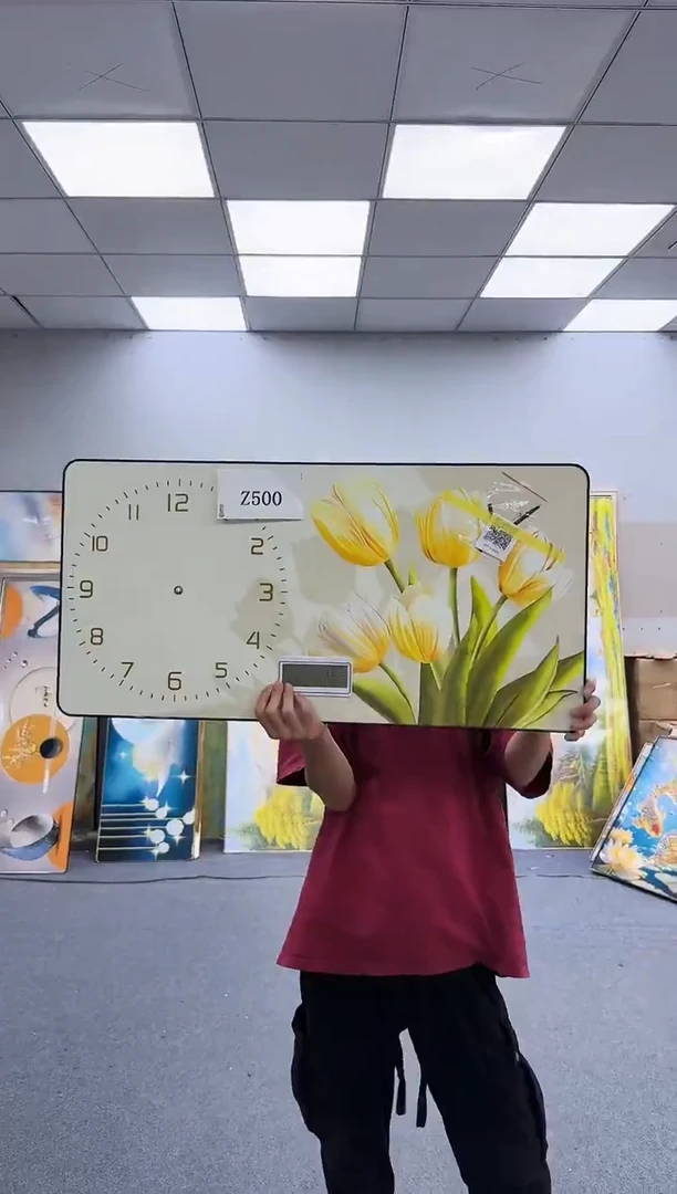 孤品微瑕黑马闪购Z500