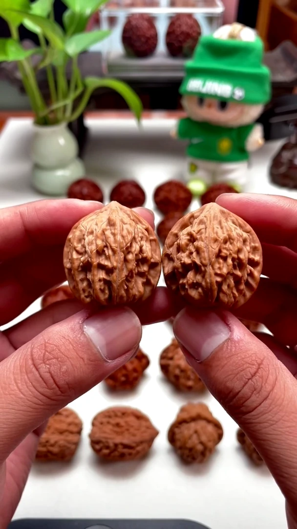 把件文玩核桃玉龙粗筋 规格32