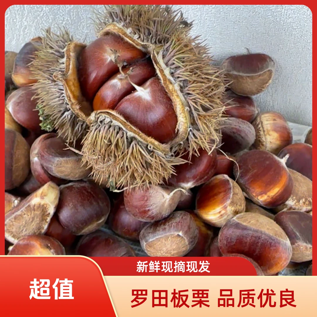 【大别山板栗】京东包邮 新鲜现摘颗颗饱满香甜粉面好剥皮