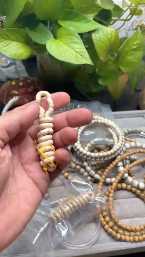 星月菩提手串海南星月菩提《*051》5X4大肠