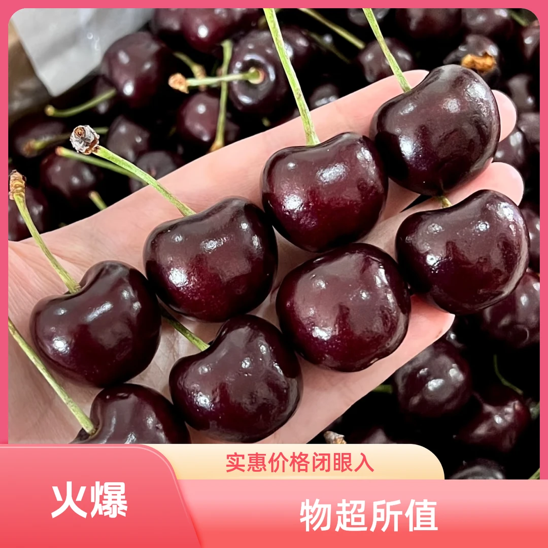 【海运】桑提娜车厘子单J+5斤桑提娜智利