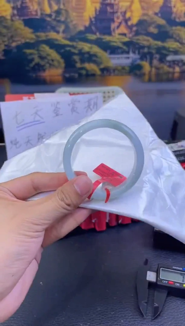 未镶嵌手镯翡翠3