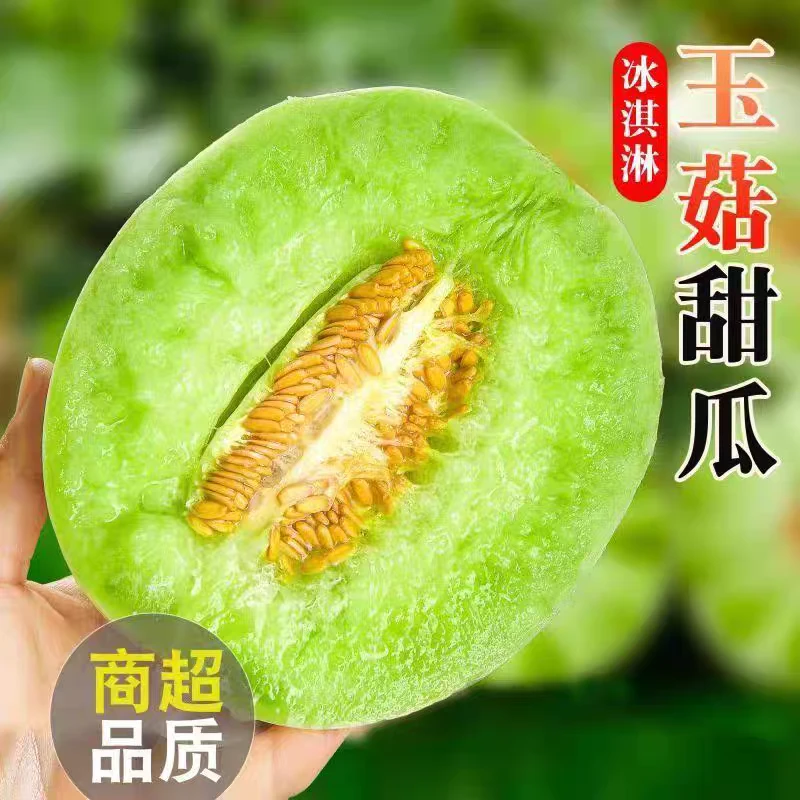 软糯香甜玉菇甜瓜冰淇淋甜瓜哈密瓜香甜产地直发应季新鲜水果