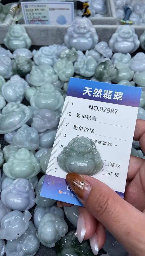 颈饰未镶嵌翡翠纯天然A货翡翠2987
