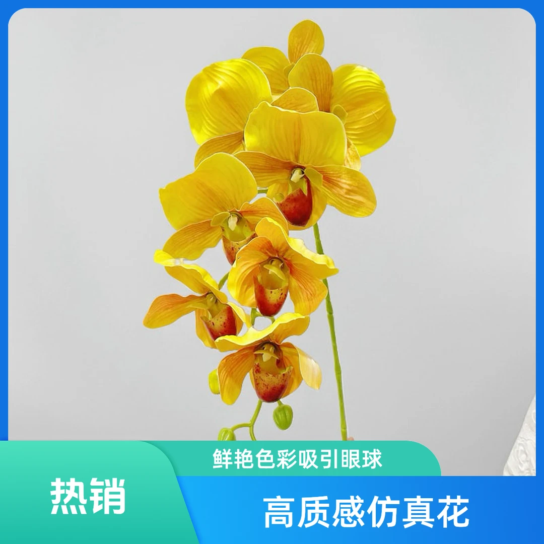 胶片手感仿真蝴蝶兰用于家居装饰婚庆拍摄道具塑料花