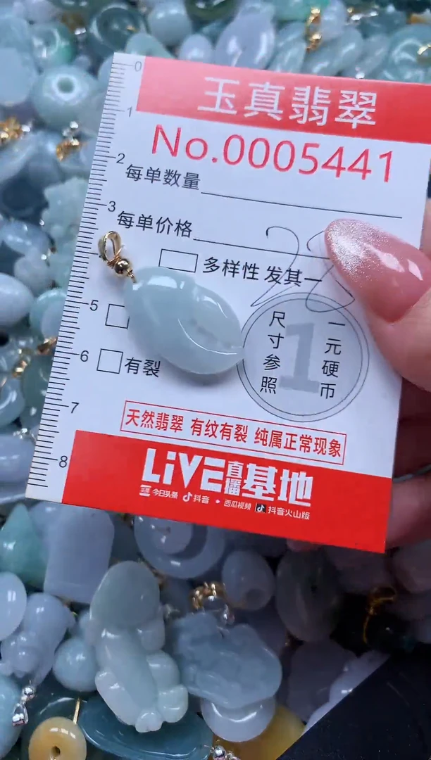 翡翠未镶嵌吊坠(不含链)5441