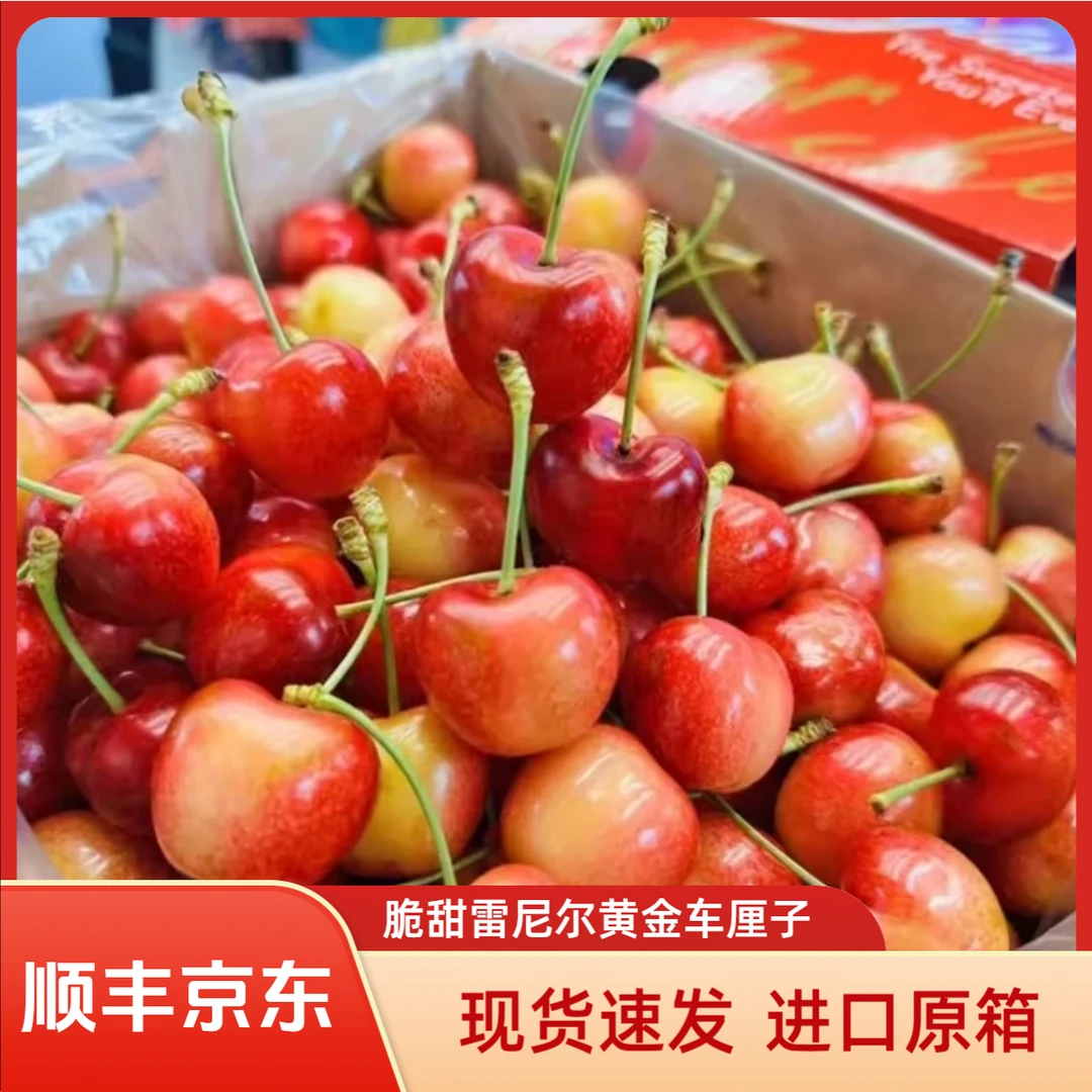 智利进口雷尼尔黄金车厘子4J海运4.4斤yellowdreams内附果径卡-YX