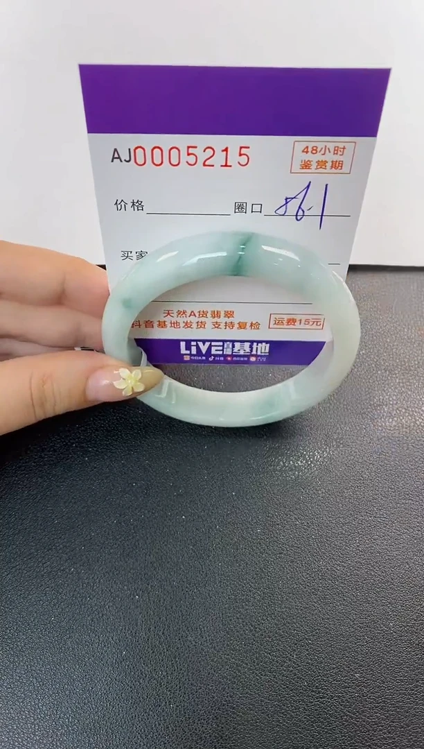 未镶嵌手镯翡翠天然A货翡翠