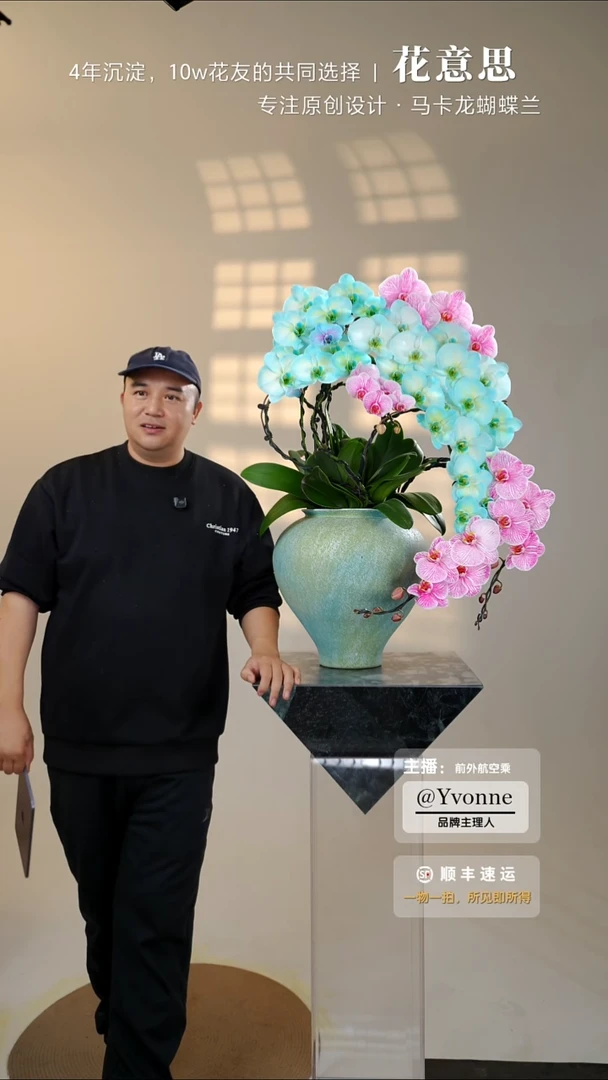 全部花朵012一物一拍蝴蝶兰艺术盆景