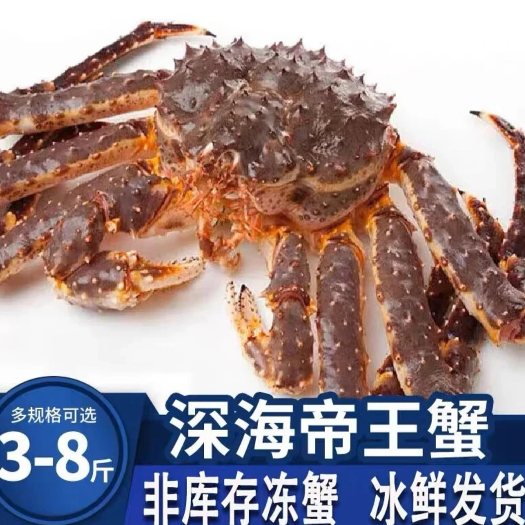 深海帝王蟹  现场称重