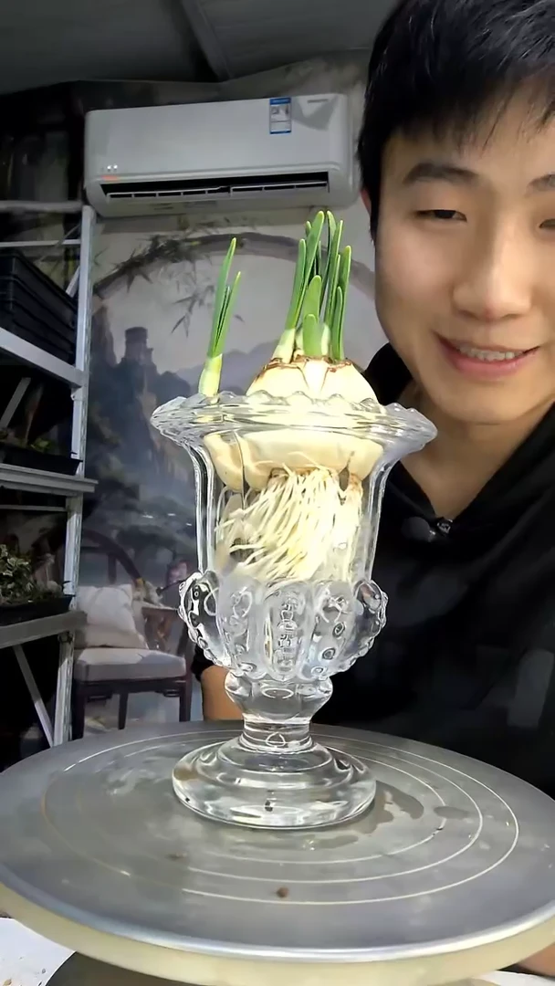 何***装中青园艺一物一拍花91