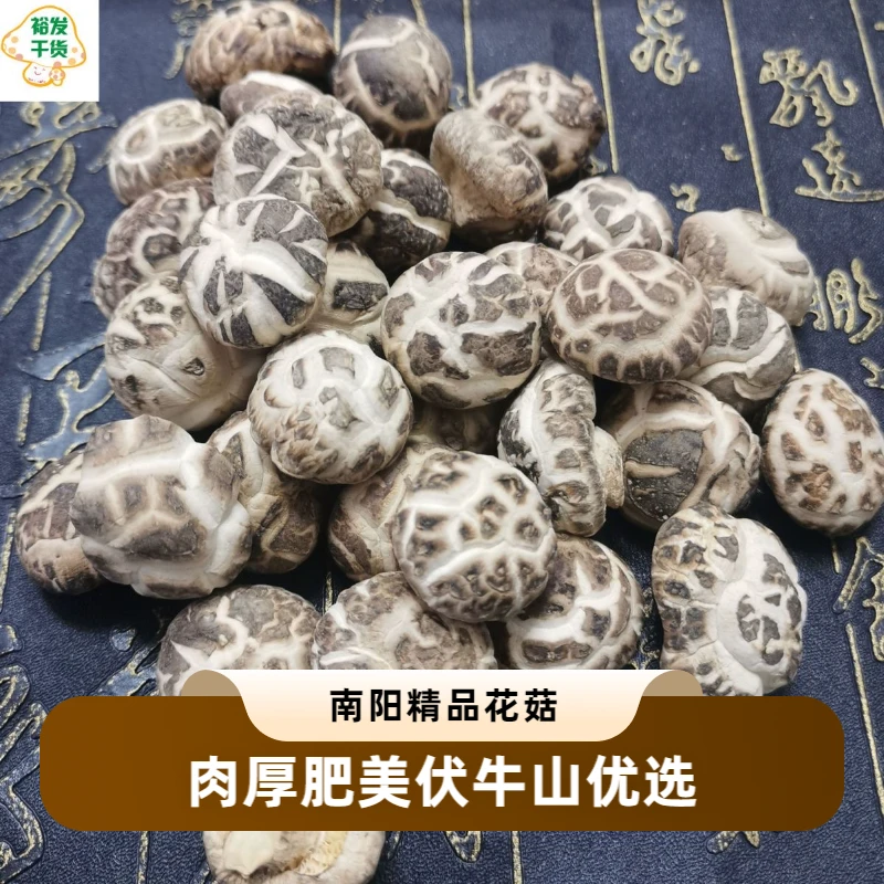 伏牛山农家优质精选干花菇特产香菇