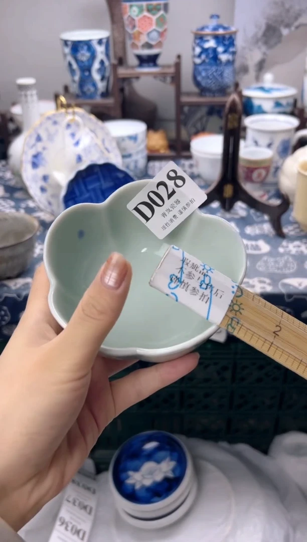 瓷片盛     D028