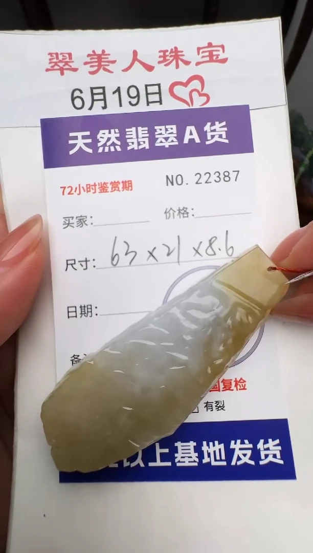 翡翠未镶嵌颈饰原石22387