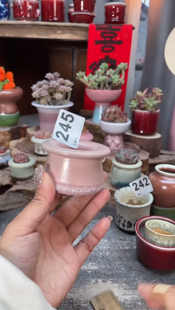 【闪购商品】摆件245知木小芳花盆