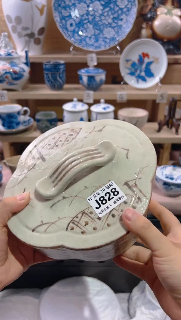 瓷片           J828