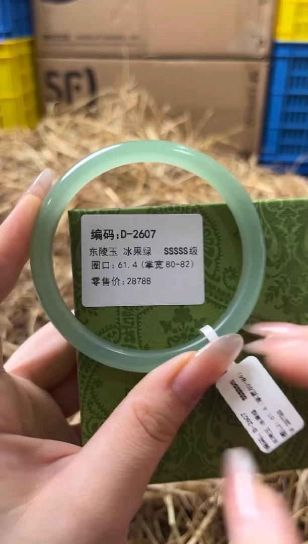 未镶嵌手镯石英质玉D-2607