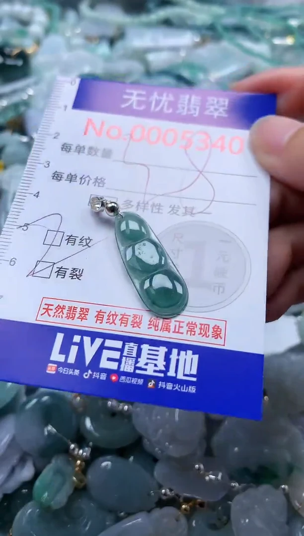 翡翠未镶嵌吊坠(不含链)5340