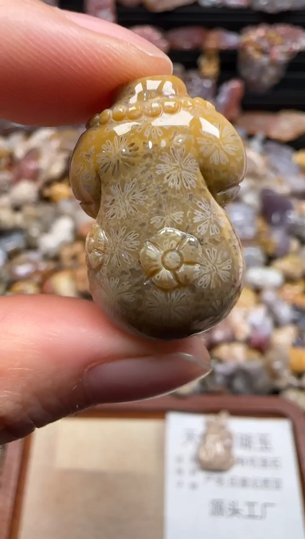 【闪购商品】硅化珊瑚（珊瑚玉）颈饰未镶嵌546