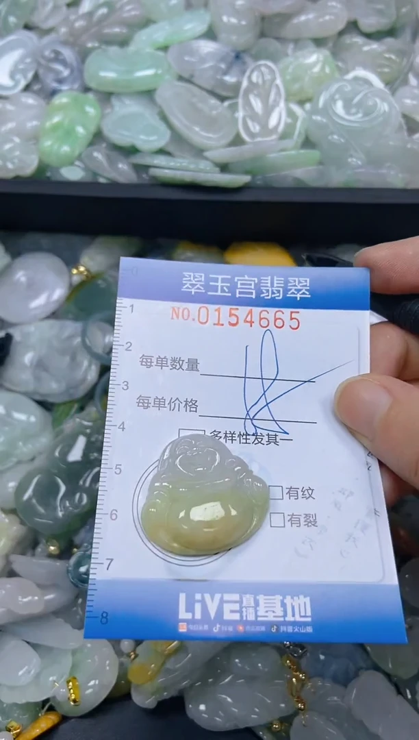 翡翠未镶嵌颈饰闪购0154665