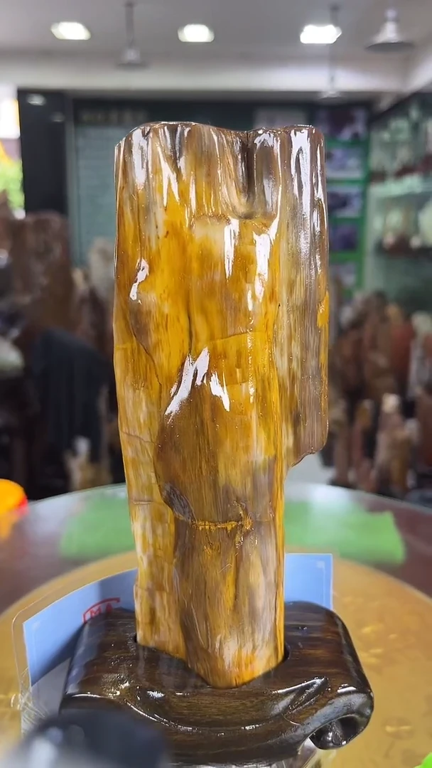 硅化玉珠宝奇石未镶嵌缅甸天然树化玉摆件