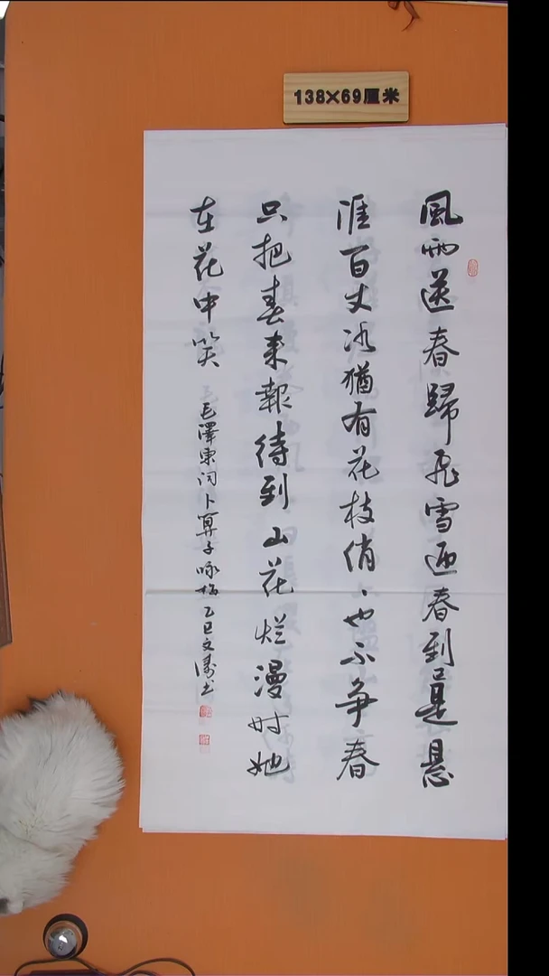 书法辛老师纯手写精美作品138*69