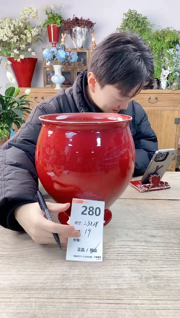 小玩子花盆直播号280
