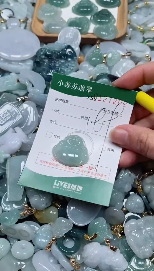 【闪购商品】翡翠颈饰未镶嵌闪购商品0127202