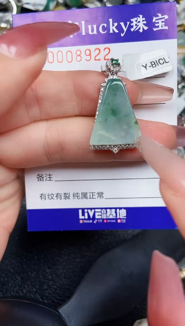 翡翠银S925镶嵌颈饰8922