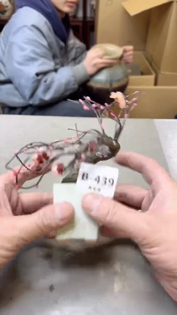 【闪购商品】瓷片439聚宝缘 二号店