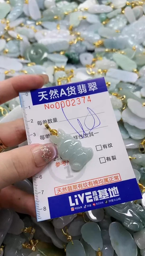 颈饰未镶嵌翡翠天然A货翡翠