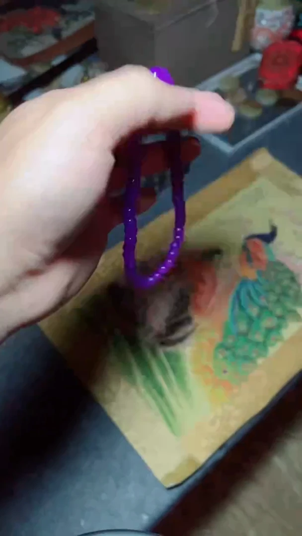 主播推荐主播推荐1紫川小