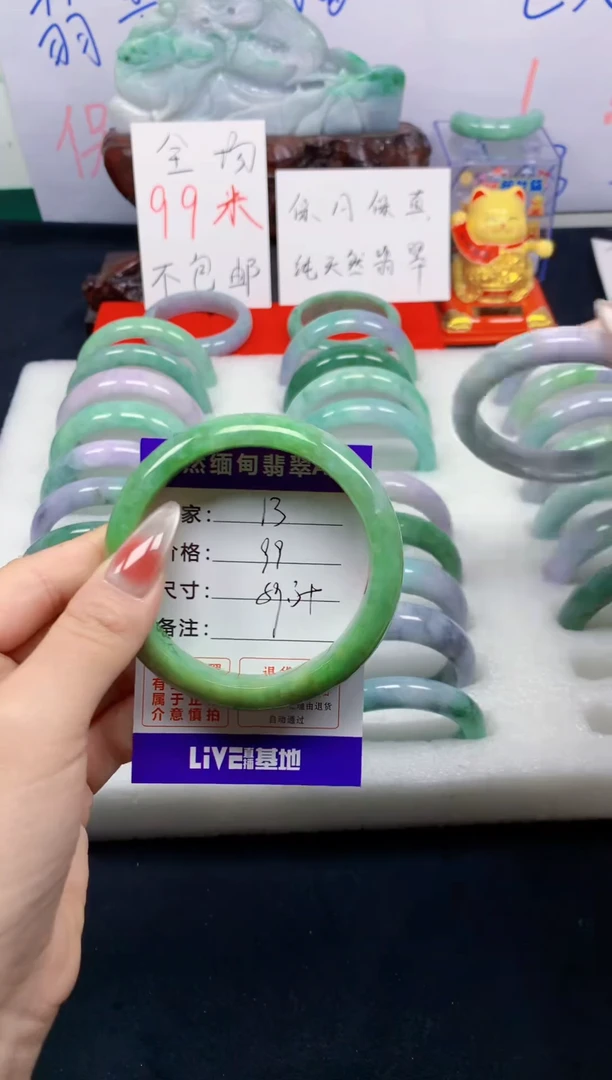 未镶嵌手镯翡翠13