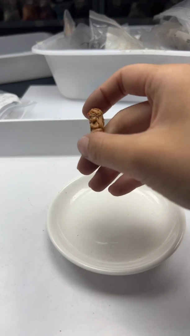 檀香木散珠w2673芭比檀前*世今*生*1个