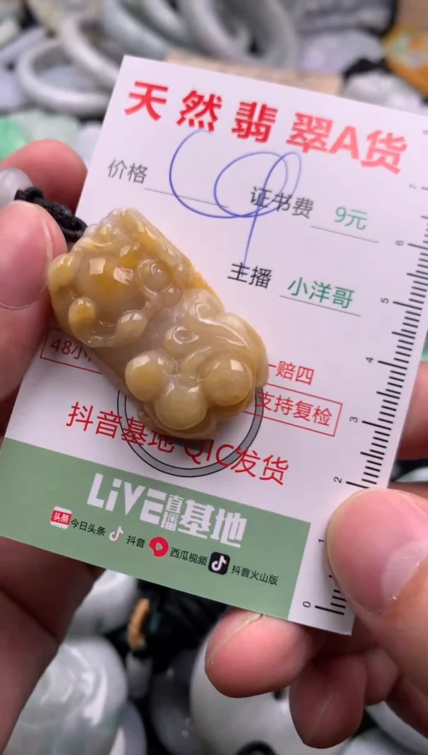 翡翠未镶嵌吊坠(不含链)1
