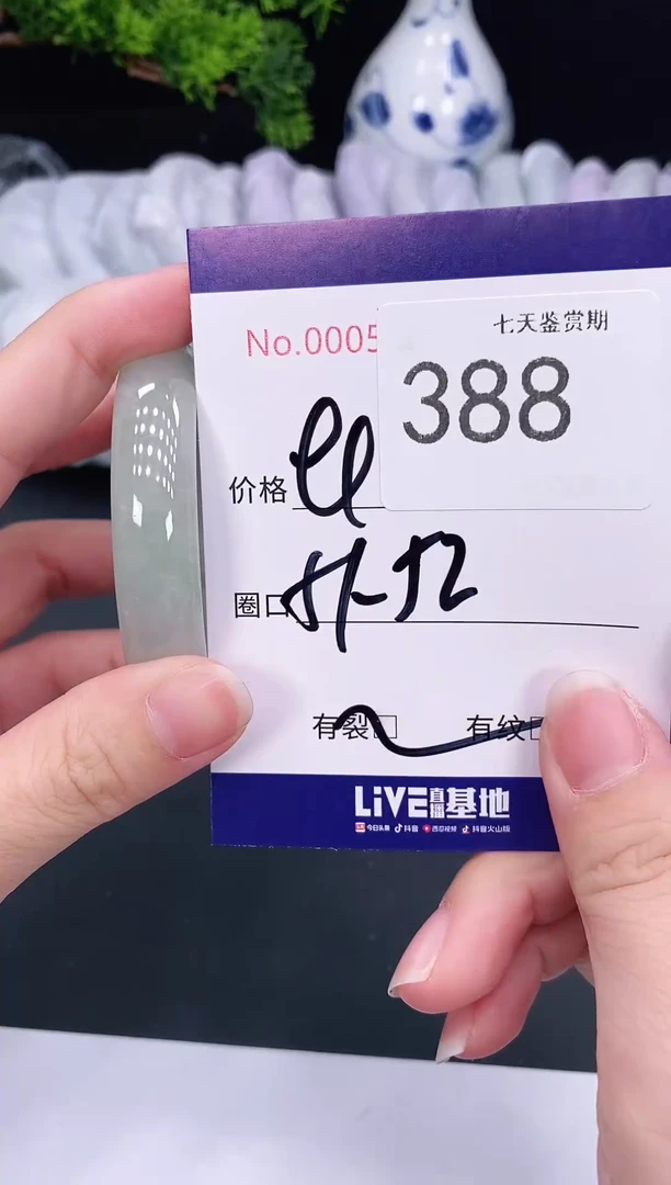 未镶嵌手镯翡翠388