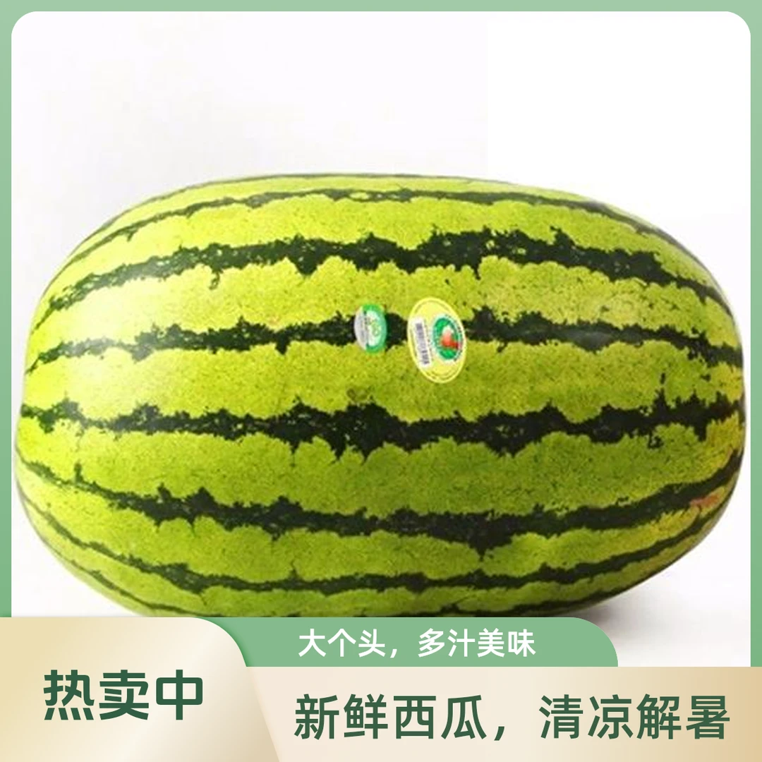 西沙瓜16.8元10斤（半个起卖，多退少补）西瓜同城送宁夏回族自治区