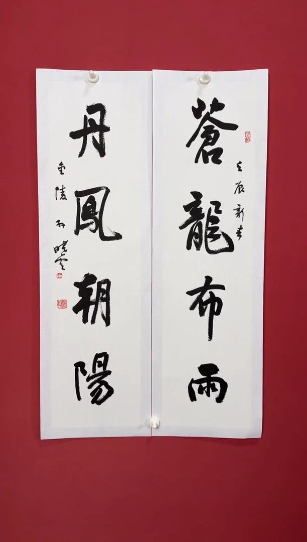 书法苍龙布雨，丹凤朝阳书法