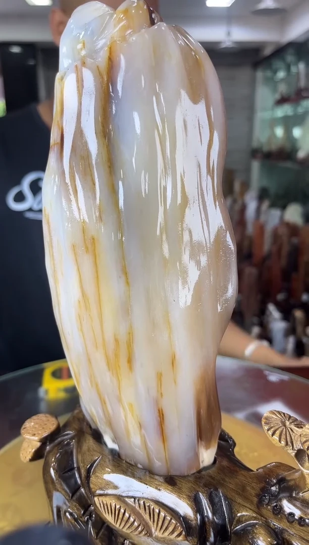 硅化玉珠宝奇石未镶嵌缅甸天然树化玉