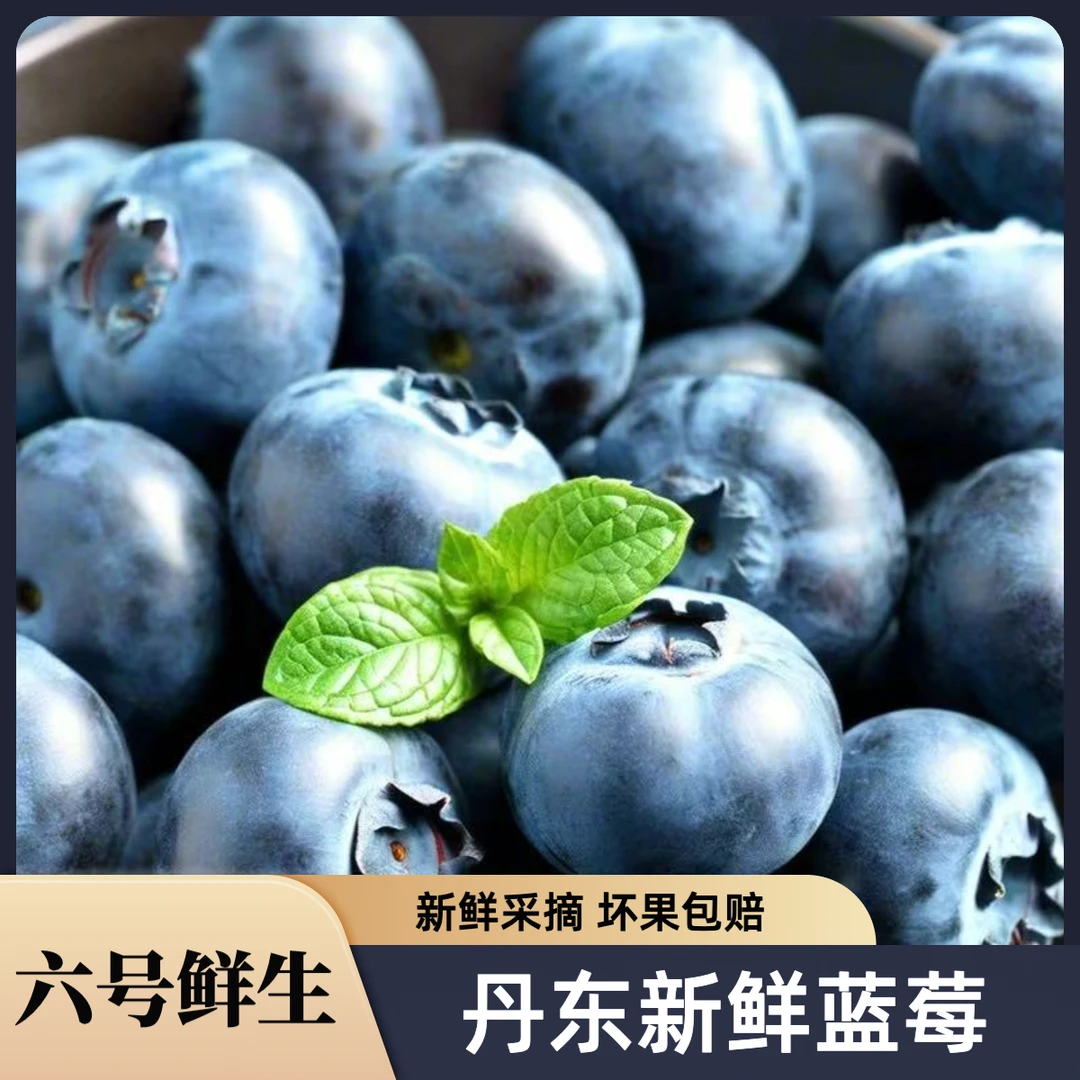 [顺丰/JD]丹东蓝莓当季鲜果孕妇宝宝花香蓝莓酸甜爆汁脆 产地直发