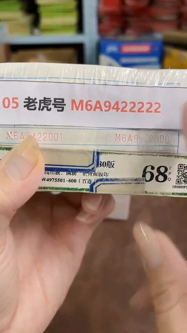 M 05 老虎号 M6A9422222